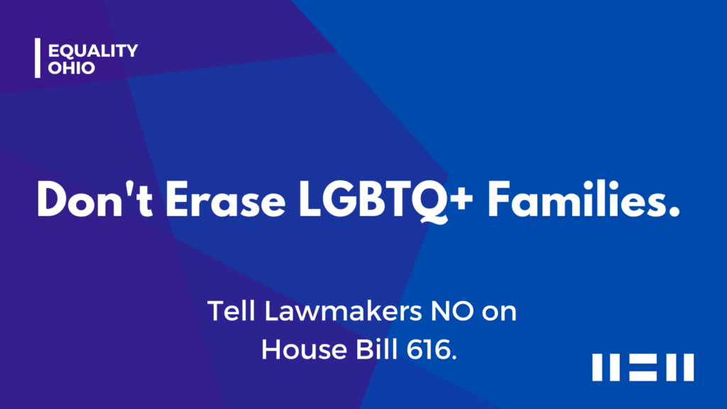 Don't Erase LGBTQ+ Families.